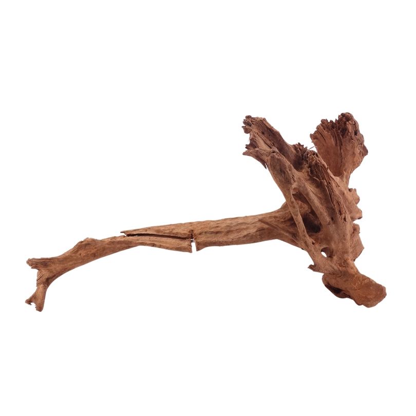 L Mangrovenwurzel Nr.5290 Holz Deko Aquascaping