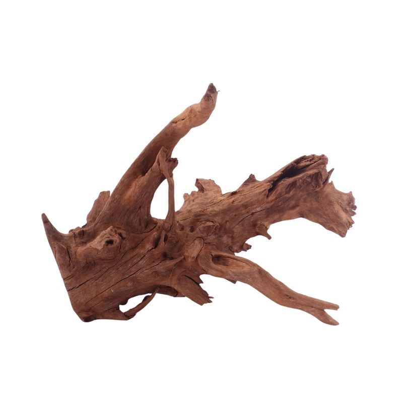 L Mangrovenwurzel Nr.5293 Holz Deko Aquascaping