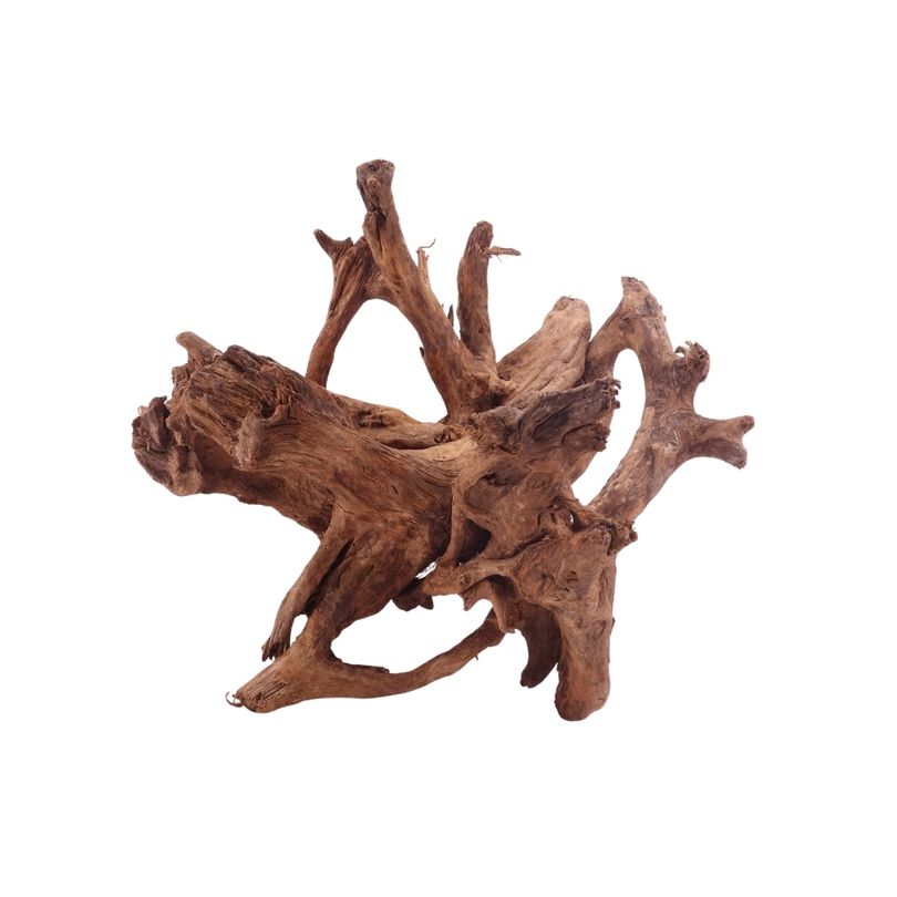 L Mangrovenwurzel Nr.5302 Holz Deko Aquascaping
