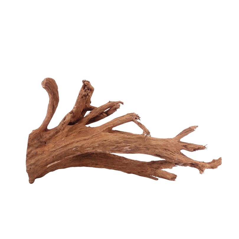 L Mangrovenwurzel Nr.5313 Holz Deko Aquascaping