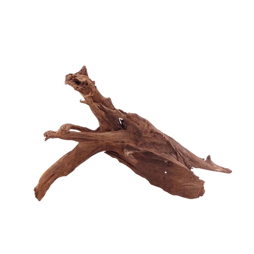 L Mangrovenwurzel Nr.5316 Holz Deko Aquascaping
