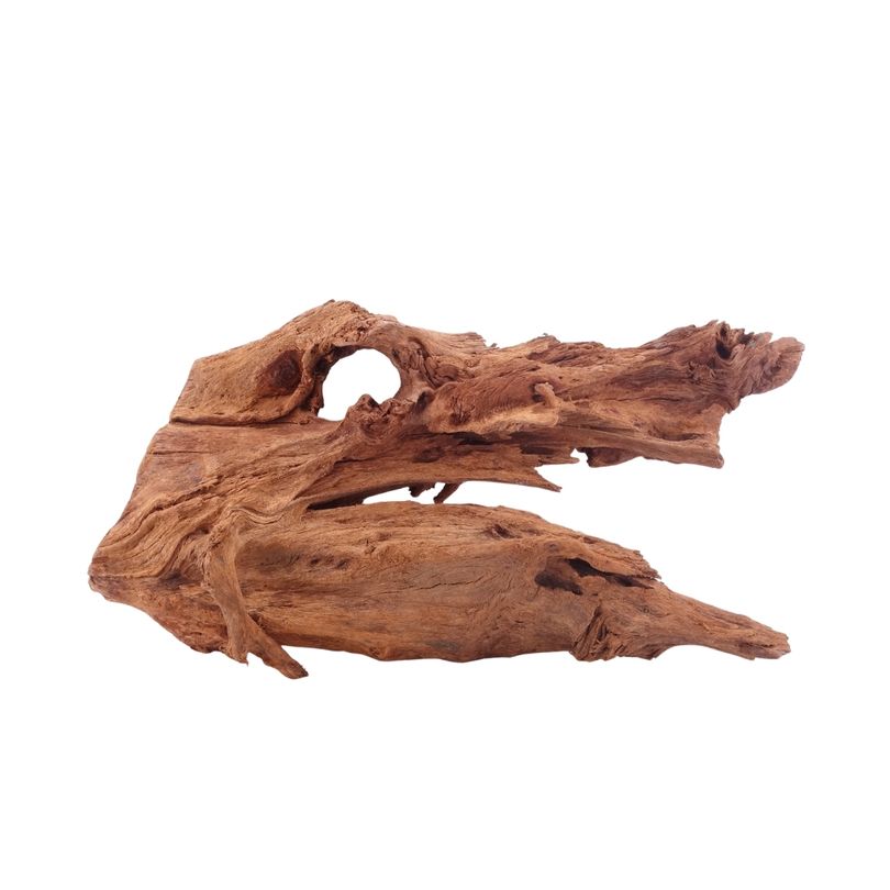 L Mangrovenwurzel Nr.5317 Holz Deko Aquascaping