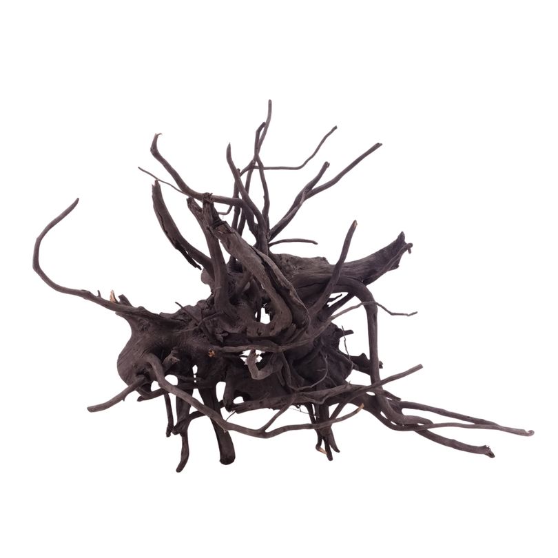XL Black Spider Wurzel Nr.5267 Fingerwurzel Echtholz Deko Aquascaping