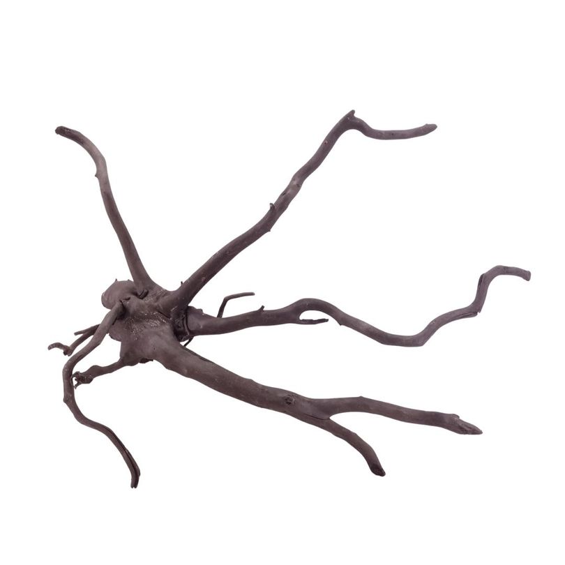 XL Black Spider Wurzel Nr.5271 Fingerwurzel Echtholz Deko Aquascaping
