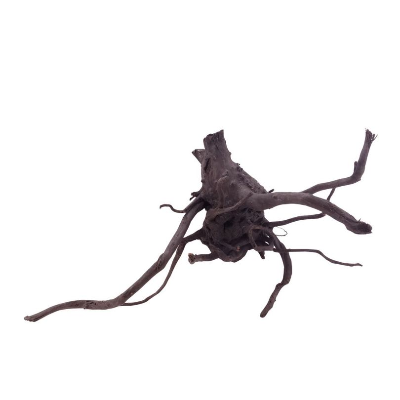 XL Black Spider Wurzel Nr.5274 Fingerwurzel Echtholz Deko Aquascaping