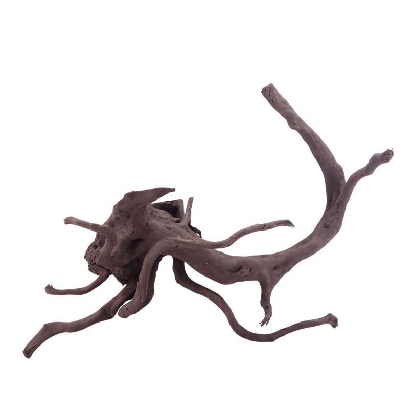 XL Black Spider Wurzel Nr.5275 Fingerwurzel Echtholz Deko Aquascaping