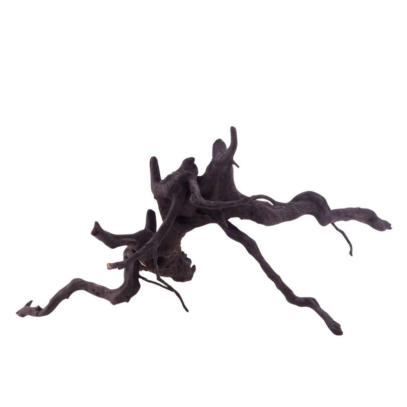 XL Black Spider Wurzel Nr.5276 Fingerwurzel Echtholz Deko Aquascaping