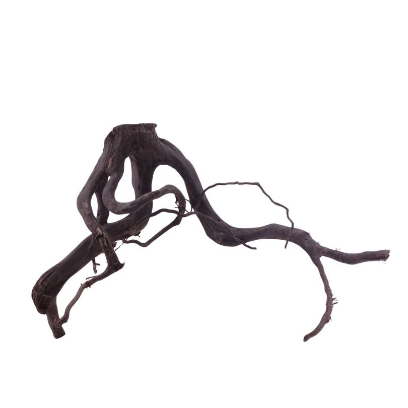 XL Black Spider Wurzel Nr.5278 Fingerwurzel Echtholz Deko Aquascaping