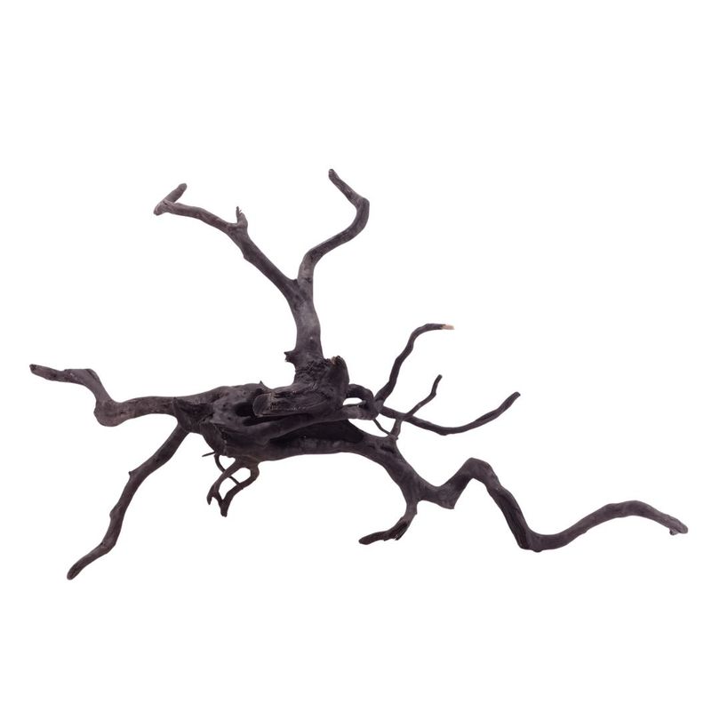 XL Black Spider Wurzel Nr.5279 Fingerwurzel Echtholz Deko Aquascaping