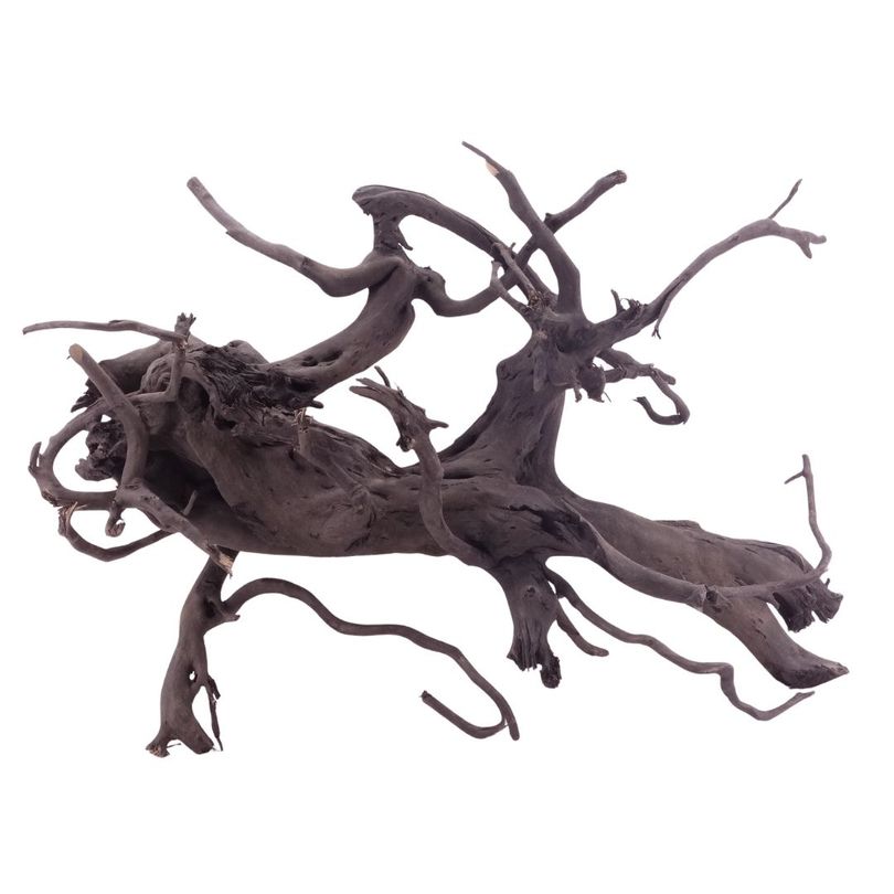 XL Black Spider Wurzel Nr.5286 Fingerwurzel Echtholz Deko Aquascaping