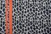 styleBREAKER Damen Schal mit Leo Muster und farbigem Streifen | Weiches Material mit Fransen | Animal Print Tuch in One Size