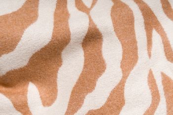 styleBREAKER Damen Schal mit Zebra Animal Print Muster, warmer Tierprint Schal mit Fransen, Reversible Style 01017158
