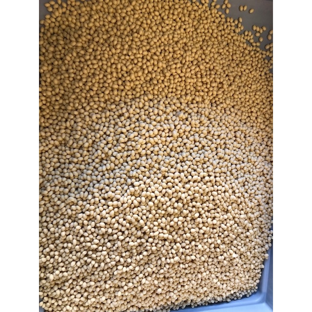 Dorus Schmelzkleber KS 217 natur für Kantenanleimmaschinen 2 kg Pack Kleber Dorus Schmelzkleber KS 217 natur für Kantenanleimmaschinen 2 kg Pack Kleber