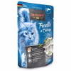 Leonardo Forelle und Catnip Pouchbeutel für Katzen 85g