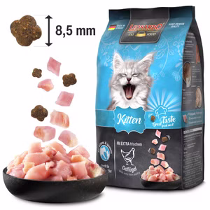 Leonardo Kitten  7,5kg 
