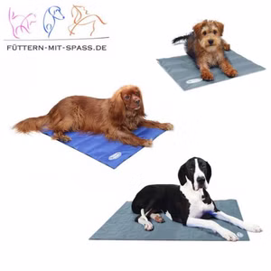 Scruffs Cool Mat Hunde Kühlmatte für Hunde Stück