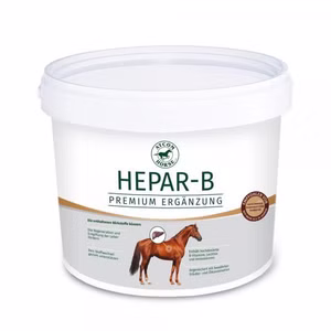 Atcom Hepar-B für Pferde 3kg