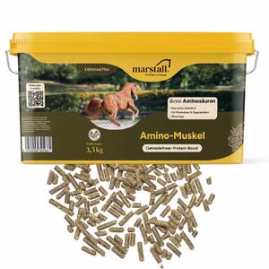 marstall Amino-Muskel für Pferde 3,5kg