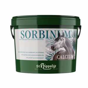 St Hippolyt Sorbinum Calcium für Pferde 10kg