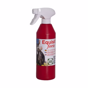 Stassek Equisit forte 500ml ohne Sprühkopf
