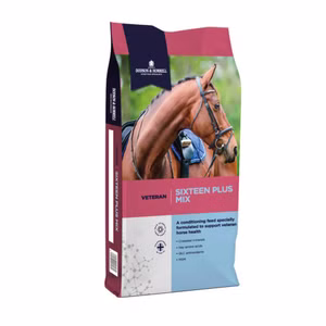 Dodson & Horrell Sixteen Plus Mix für ältere Pferde 20kg
