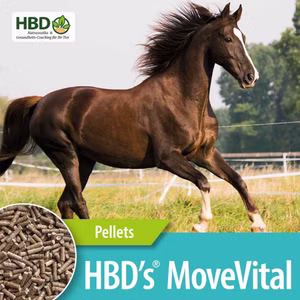 HBDs MoveVital für Pferde 750g