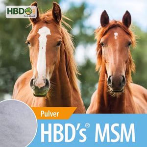 HBDs MSM 1kg