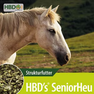 HBDs SeniorHeu 15kg