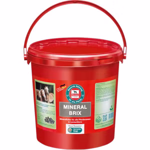 Salvana Mineralbrix getreidefrei 8kg