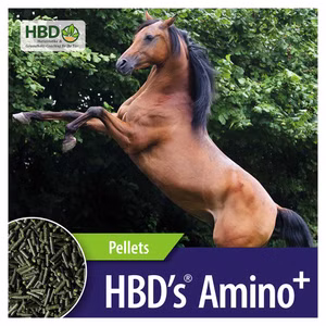HBDs Amino plus für Pferde 5kg
