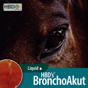 HBDs BronchoAkut für Pferde 500ml