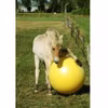 MAXIMUS Ball Power Play für Pferde 100cm 