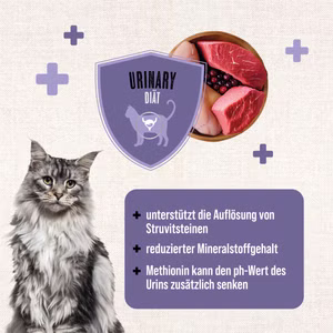 MACs Cat Vetcare Urinary Frisches Rind Pute 200g