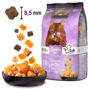 Leonardo Senior GF für Katzen 300g