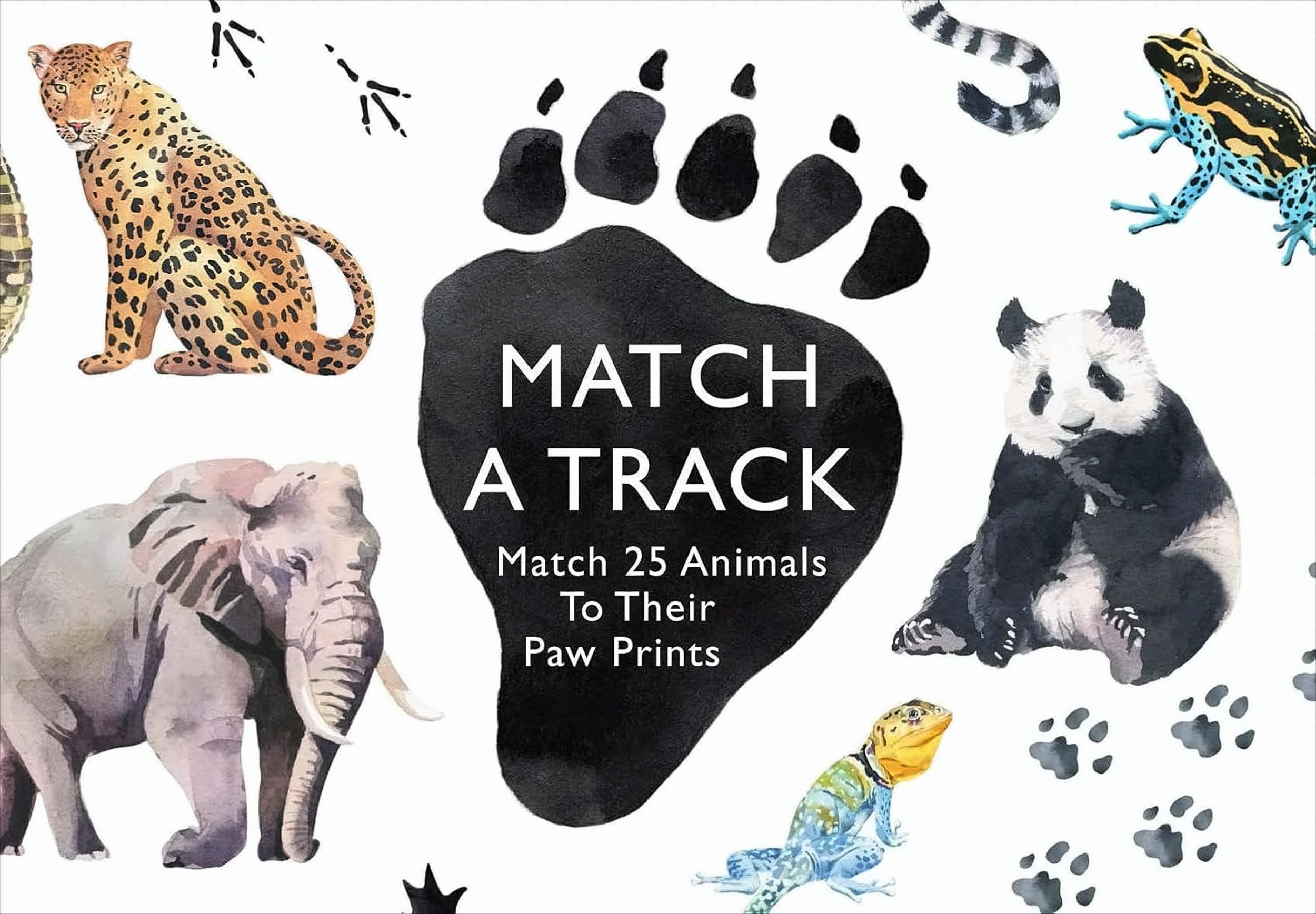 Match a Track: Match 25 Animals to Their Paw Prints (Magma for Laurence King)