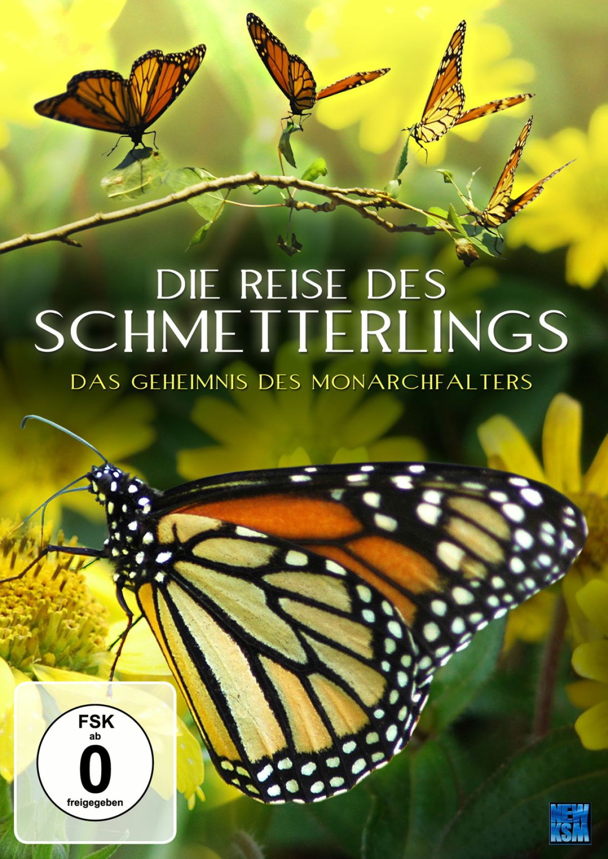 Die Reise des Schmetterlings (DVD) - Bild 2
