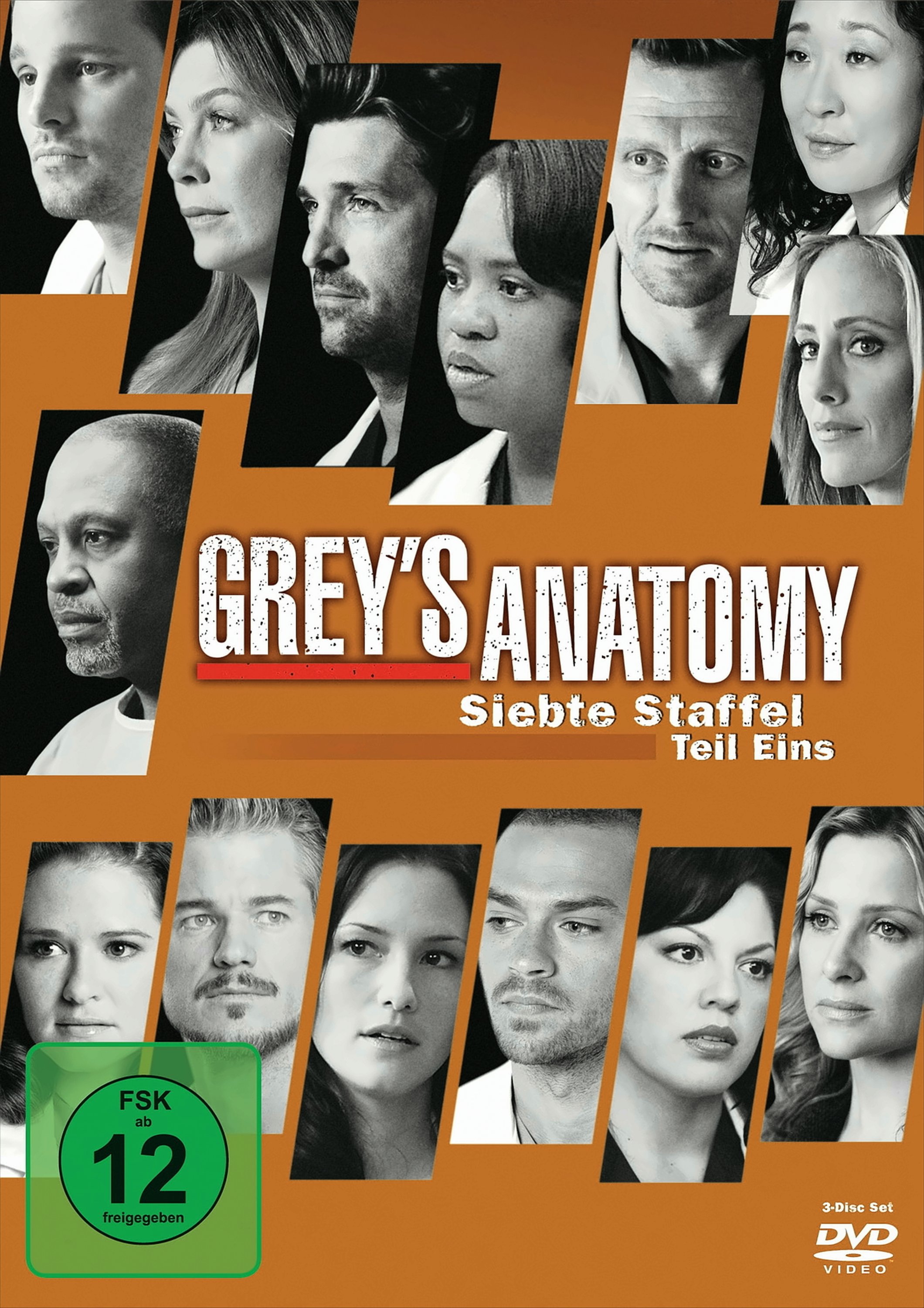 Jungen Grey's Anatomy: Die Ärzte - Siebte Staffel, Teil Eins (3 Discs)