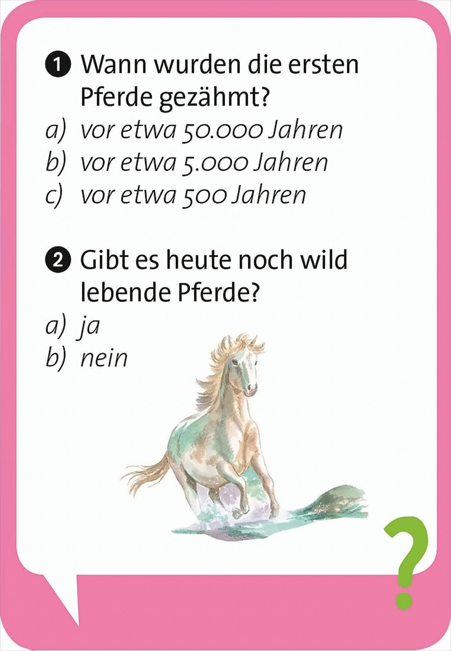 Moses. Mädchen Pocket Quiz Junior Pferde - Bild 5