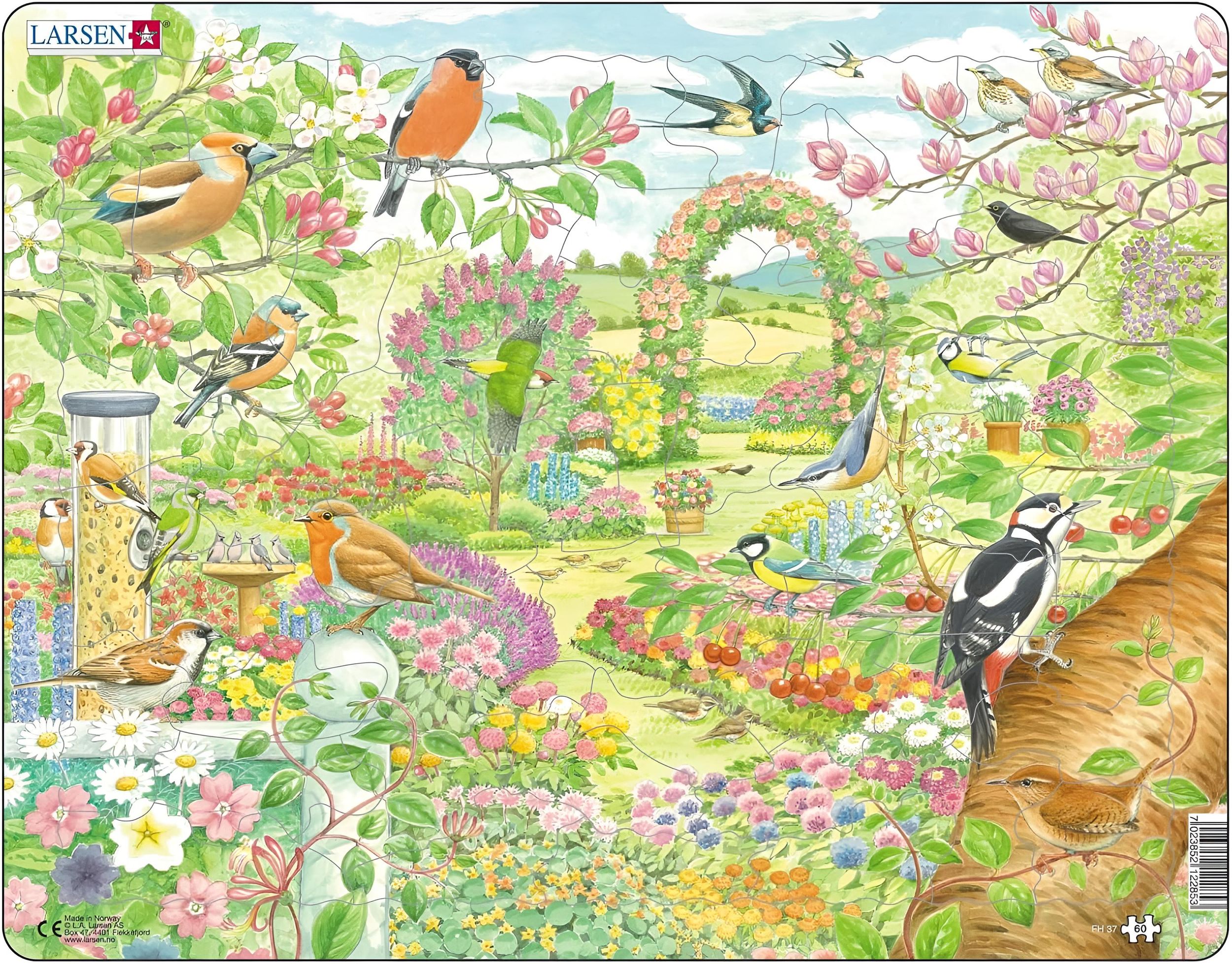 Rahmenpuzzle Bunte Blumen und Vögel im Garten 60 Teile