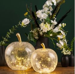 IMG-4153.jpeg IMG-4153.jpeg