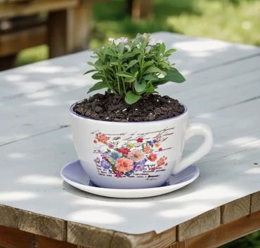 Pflanztasse aus Keramik mit Unterteller, Blumentopf in Tassenform, Deko-Pflanzgefäß,Blumentopf in versch. Größen und Designs