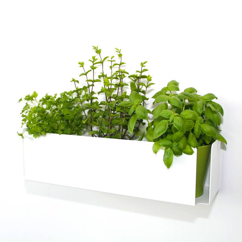 Blumenkasten als Wandregal flatrack flower