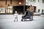 Hamax Cocoon Kinderfahrradanhänger für 2 Kinder
