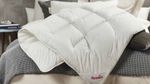 Paradies Anela Bio "medium warm" Bettdecke (155x220 cm)