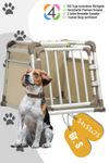 4pets Dog Box ComfortLine One Gr. S Hundebox für kleine Hunde