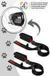 4Pets Dog ISOFIX Connector für Caree (2Stk.)
