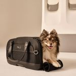 Tavo Dupree II Tiertransporttasche / Flugzeugreisetasche für Tiere