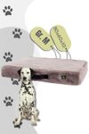 Maelson MemoFluff - Orthopädische Kissen für Hunde - Stone