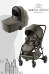 Urban Olive - LUX