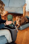 Croozer Dog Tammo Easy Start Bundle inkl. Tammo Hundebett
